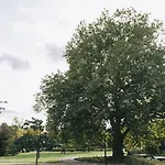Marktzicht